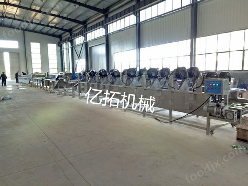 全自动速冻果蔬加工设备与酱菜机械 现代食品加工的双引擎